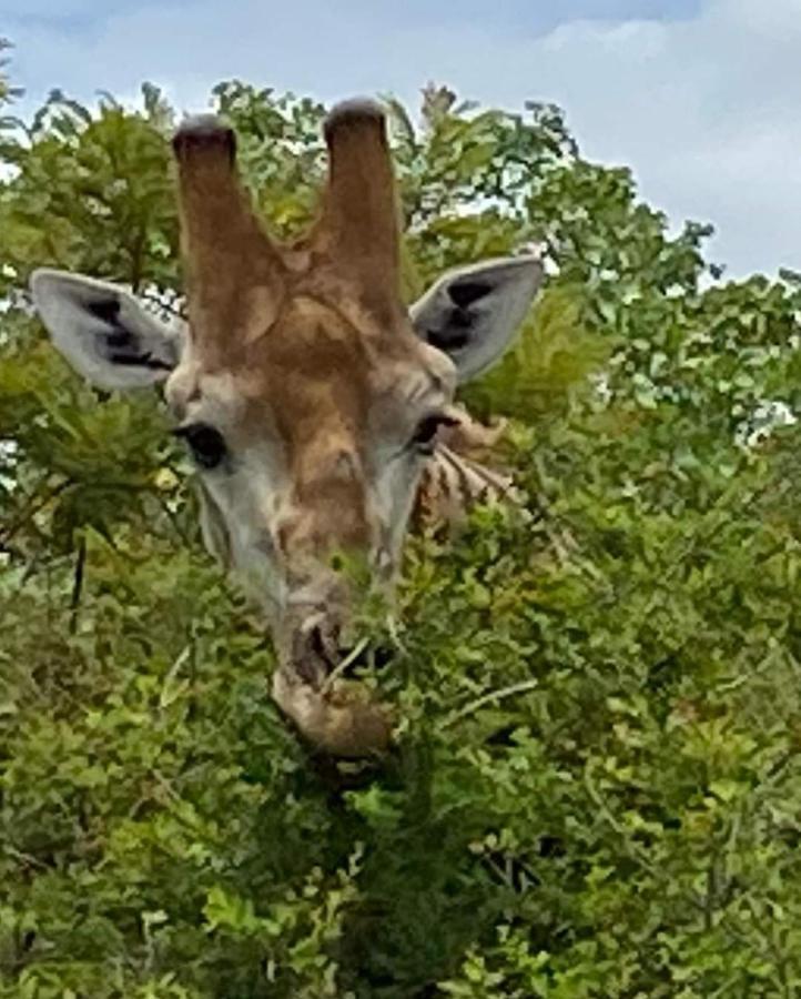 Overnight Stop Before Kruger National Park Hotel Phalaborwa Exterior photo